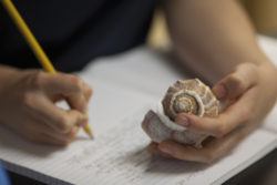 A young man writes with one hand and examines a seashell with another
